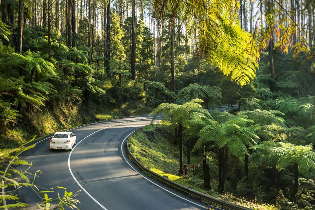 Lithgow Falls Marysville Exterior foto